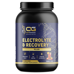 Electrolyte & Recovery PLUS Summer Punch