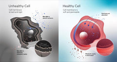 Glutathione Complex