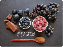 Reseveratrol Cellular Health